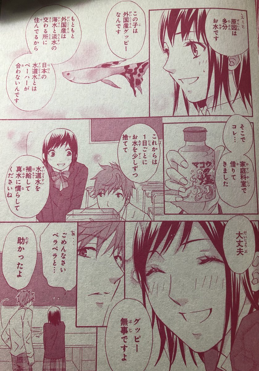ちなみにこれが熱帯魚に興味を持つキッカケになった漫画だった。作ってる時は熱帯魚知識0だったから女の子、変なアドバイスしてる……(苦笑)
水道水を補給しないでちゃんと水合わせしてカルキを抜いた水にしてあげてええええ😇💦