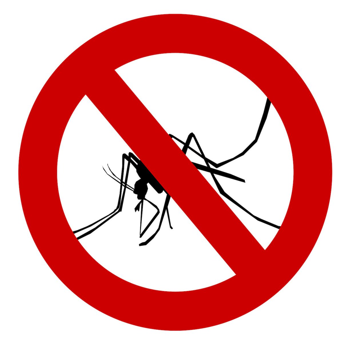 En Servalia somos especialistas en tratamientos para el control de plagas. 
✅ Desratización, Desinsectación y Desinfección
✅ Plagas de la madera: carcoma, hongos y termitas
✅ Control de aves urbanas, roedores y otras plagas

📞902 10 98 48
📩info@gruposervalia.com