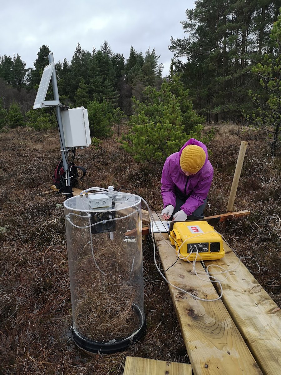 Pls. RT! We're hiring a #field #ecologist 3yrs-0.8 time to assist #peatland #GHG #botany #Ecology <a href="/CarePeat/">Care-Peat</a> <a href="/RePEAT_IRE/">RePEAT Project</a> &amp; #Multipeat projects. <a href="/ecocareersirl/">ecocareers.ie</a>  @PeatlandECR <a href="/PERG_GRET/">Peatland Ecology Research Group</a>. BSc's w/ grt botany or MSc's w/ field exp. apply! Close 16 June Info:
nuigalway.ie/about-us/jobs/…