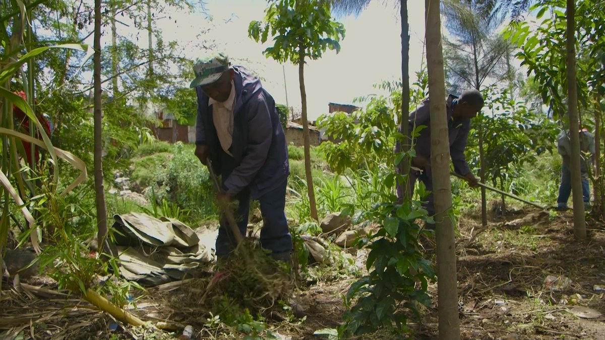 OneEarthBeat's tweet image. In the shadow of a dump site in Kenya’s capital is an oasis of trees and vegetables along the banks of the river, created by a group of determined elders. Nicera tells their story earthbeat.youth4planet.com/stories/storie…  #oneearthbeath #RiskToResilience #GPDRR2022 #climatechange #grassroots