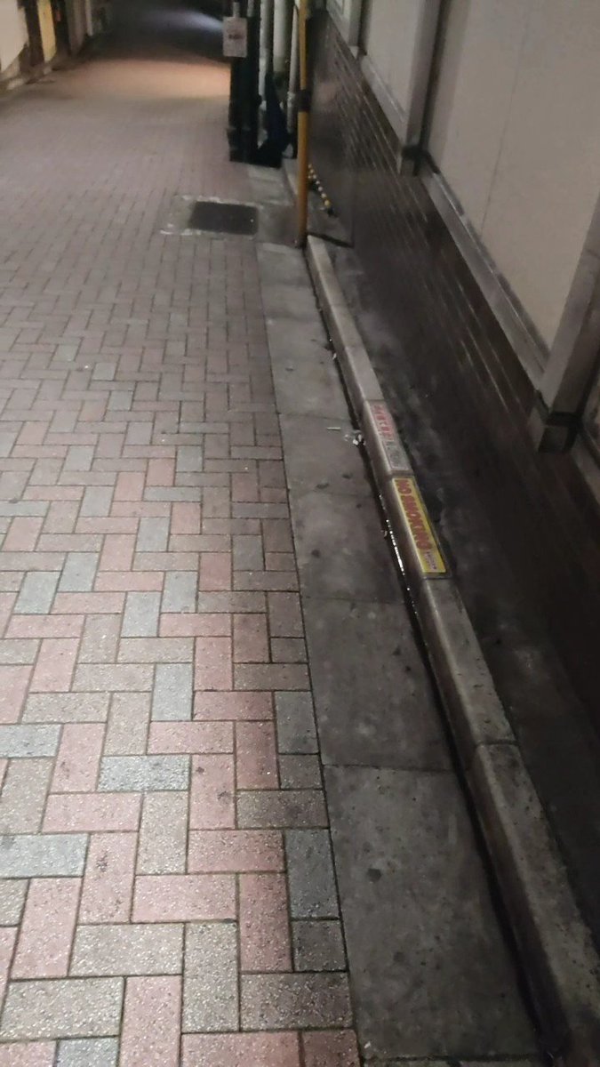 気がついたら10日以上も放置してたのね…
なんかごめんなさいorz

写真は先ほどの動画の後の流れてった尿です(笑)