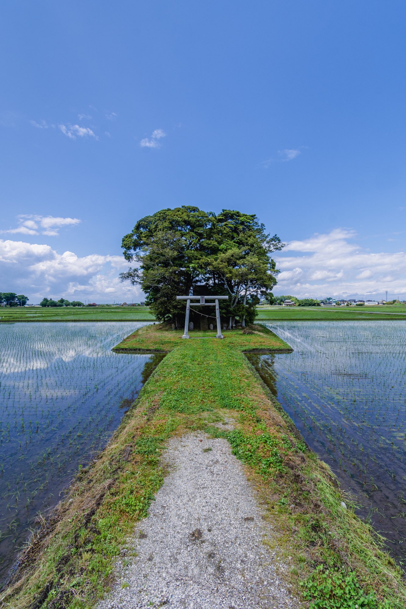 三人の田んぼの神さま 52297-318-