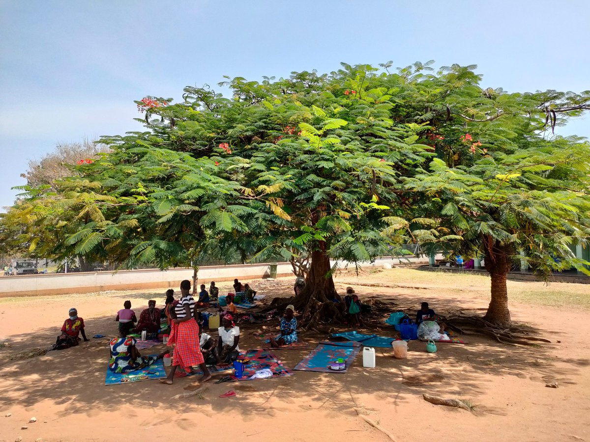 #AfricaDay "...dove abbiamo forse vissuto le emozioni più intense, dove ci siamo sentiti allo stesso tempo tanto impotenti e tanto importanti. Dove, nel periodo più asciutto dell'anno, esplode la magia del fiori del flamboyant che fa risplendere anche la più povera capanna"