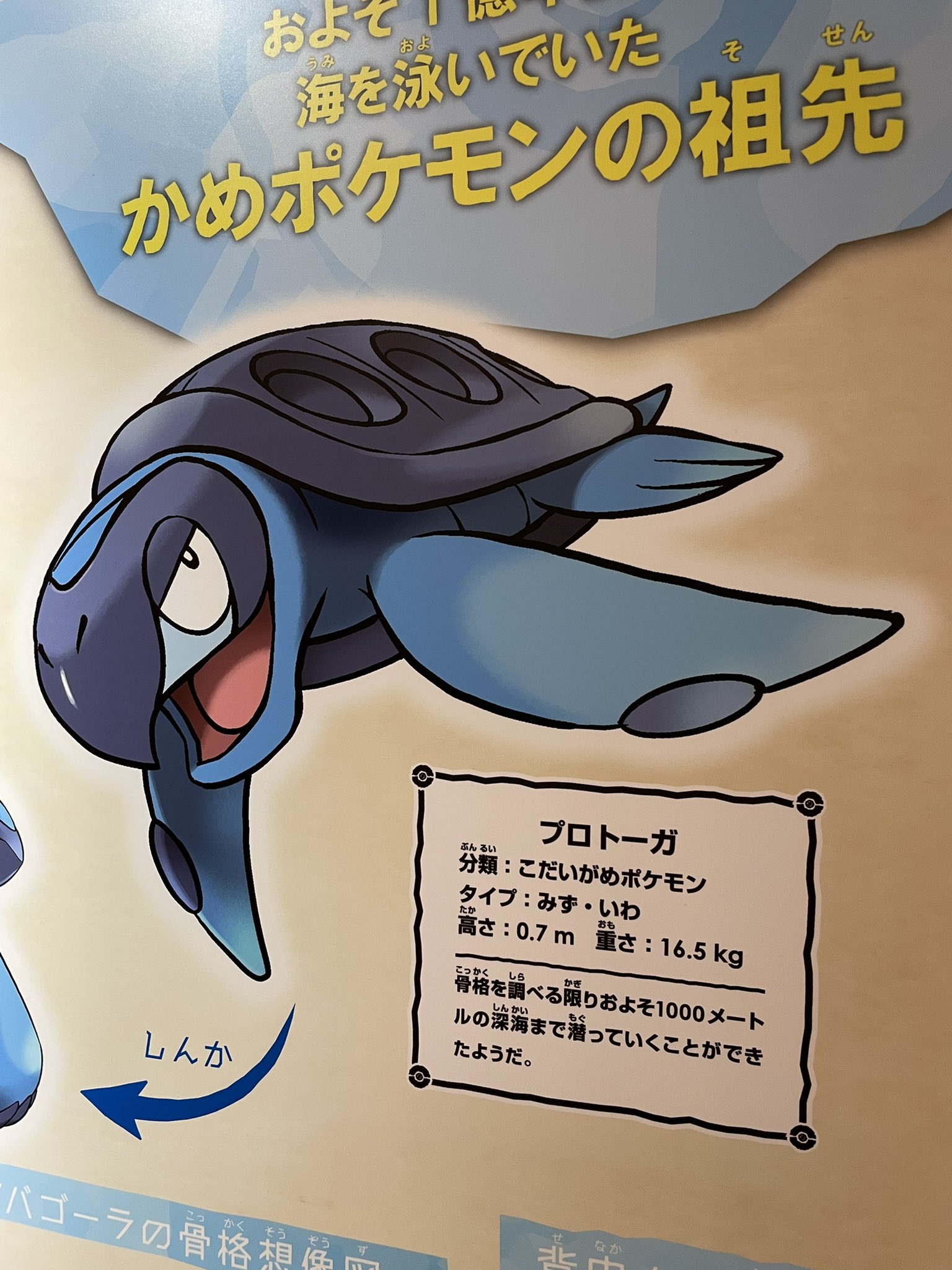 犬付 かめポケモンの祖先 ふたのカセキ 背中から見たプロトーガ お腹から見たアーケロン ポケモン化石博物館 国立科学博物館 T Co Uzr9hhjhpe Twitter 犬付 かめポケモンの祖先 ふたのカセキ 背中から見たプロトーガ お腹から見たアーケロン ポケモン化石博物館 国立科学博物館 T Co Uzr9hhjhpe Twitter