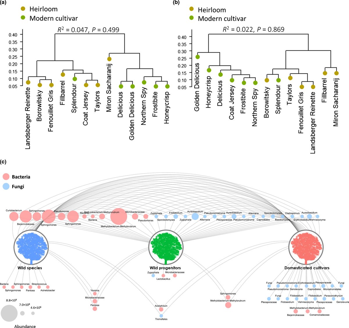 New Phytologist tweet media