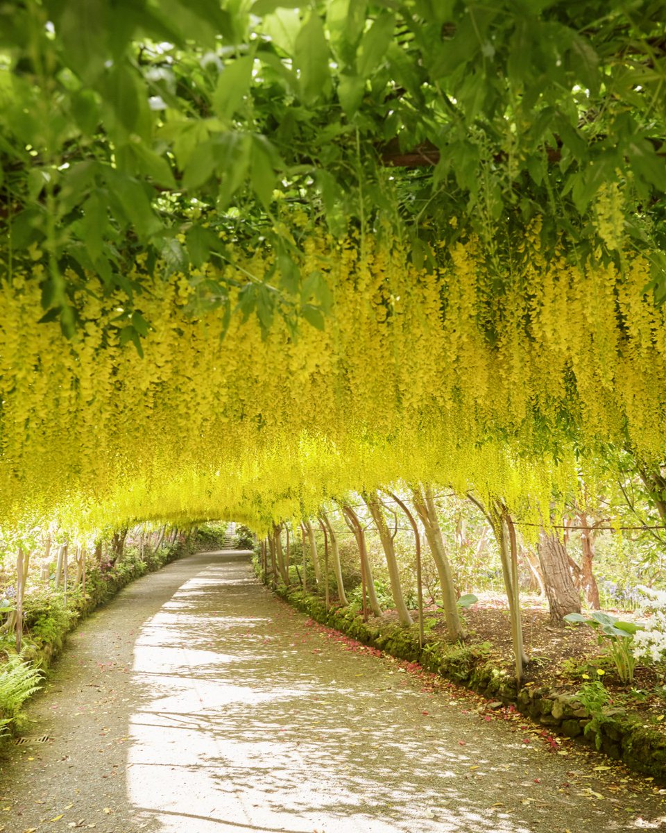 National Trust tweet media
