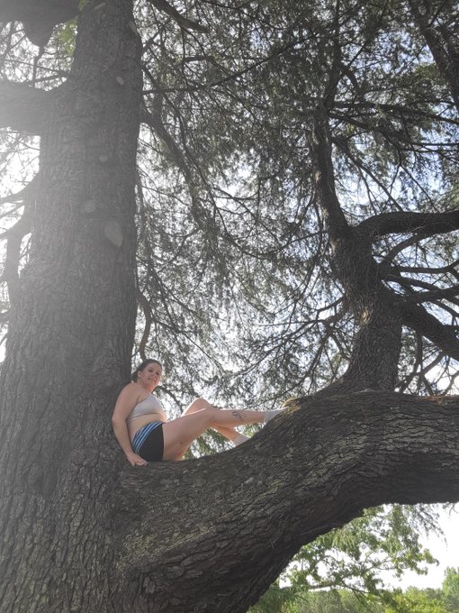 had to climb the tree right? https://t.co/WqZ4PXT7uv<a href="/tag/redlobster"class="tags"><span>#redlobster</span></a>