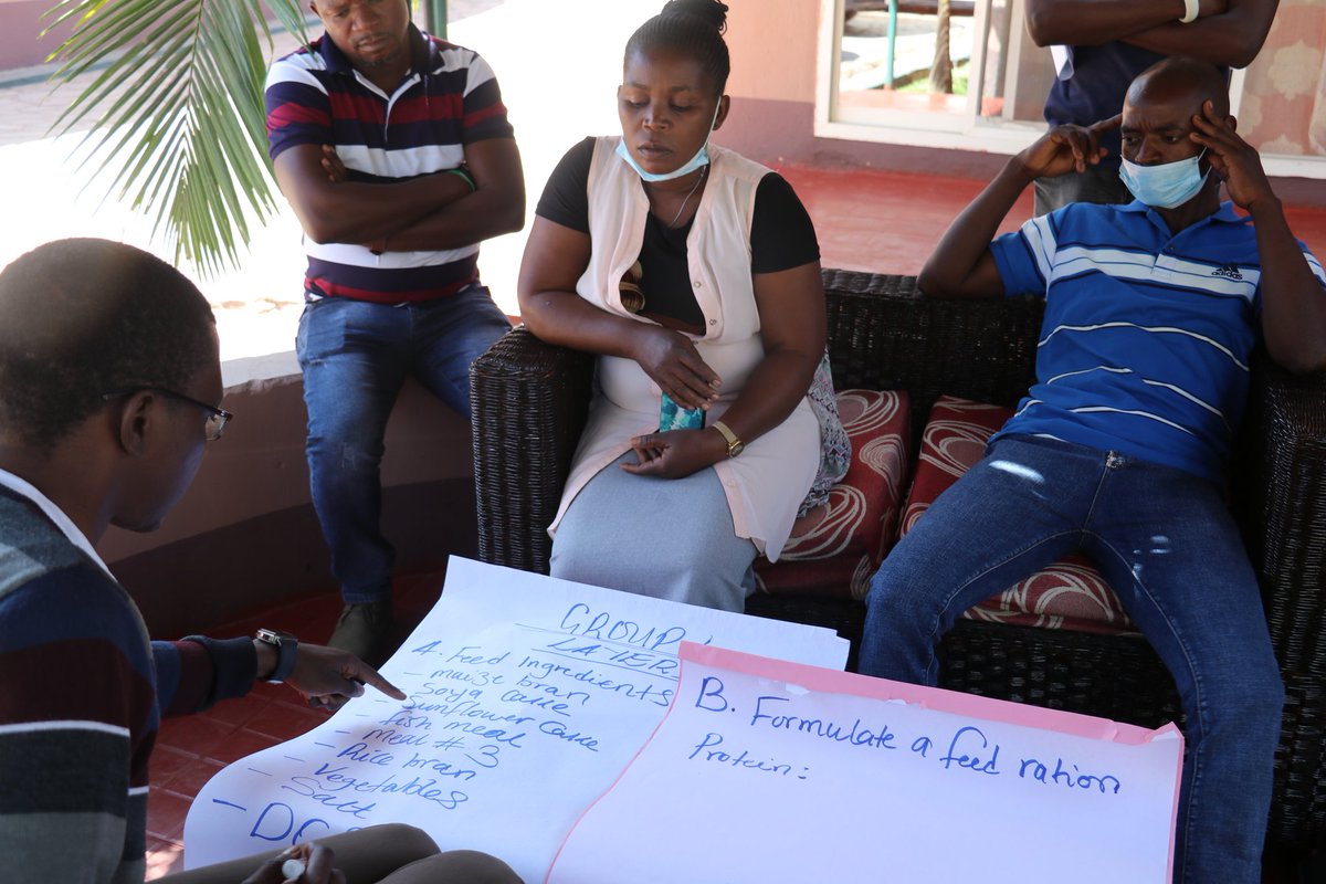 Agness90279727's tweet photo. In intergrating livestock and #fish farming,nutrition is key in the performance of both for profitability. @WorldFishCenter with  #livestock sector partners at a @CGIARAfrica training in #Zambia are helping farmers undertand this concept. @NetsayiMudege @Inga_JM @BiovIntCIAT_eng https://t.co/Z2kBGbOt8a