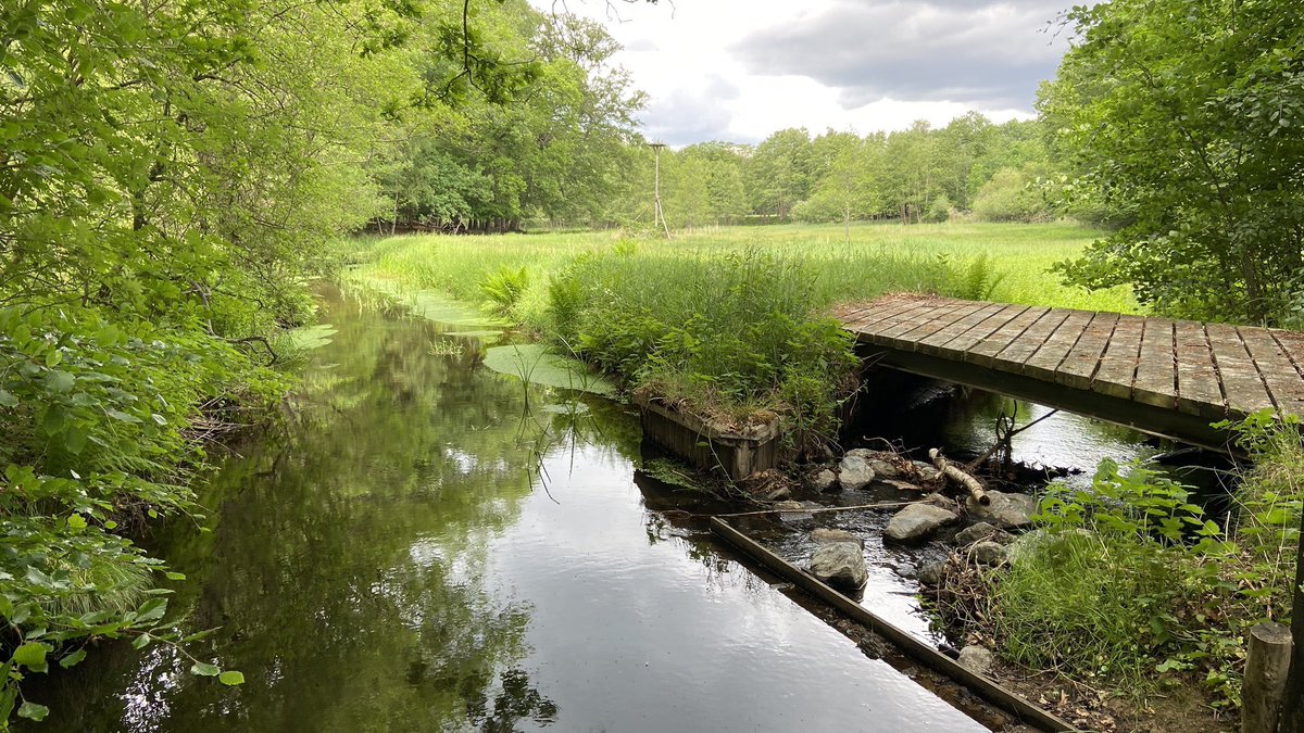 JaapdeVries20's tweet photo. Op deze woensdag zijn er perioden met zon  In de middag raakt het bewolkt en vanavond valt er wat regen. De temperatuur ligt rond de 18 gr. Morgen Hemelvaartsdag, schijnt geregeld de zon. Vanaf begin juni wordt het geleidelijk warmer door een zuidelijke stroming. #lente #voorjaar https://t.co/DkZ8Mc6PIm