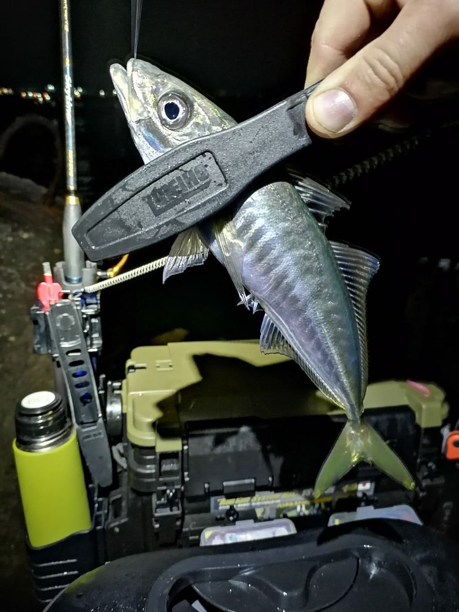 _ajimaster's tweet image. #blackseaajing #microgame #rockfishing #Crimea #Sevastopol #ajing #metaljig