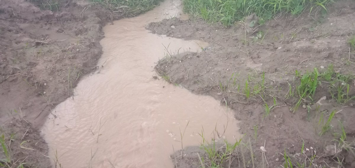 UrbanAlert's tweet photo. At the center of Ile-Ife, Osun State, are gold mining sites contaminating important rivers.
Opa River that flows into Obafemi Awolowo University and serve as source of water for the 40,000 OAU community has been polluted by gold miners.
Looming disaster!
#SaveOsunRiver https://t.co/HD3k0F9FQh