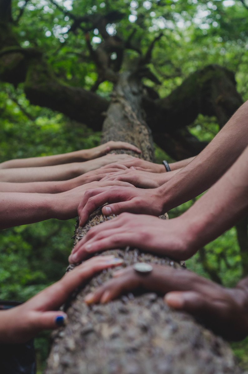 L’ambientalismo non è una questione ideologica, ma un'opportunità necessaria. Possiamo scegliere se rimanere in sciocche abitudini e restare nel passato o iniziare a produrre futuro. I #GreenHeroes hanno scelto di produrre futuro, e di produrlo oggi! Lo sa bene @GassmanGassmann!