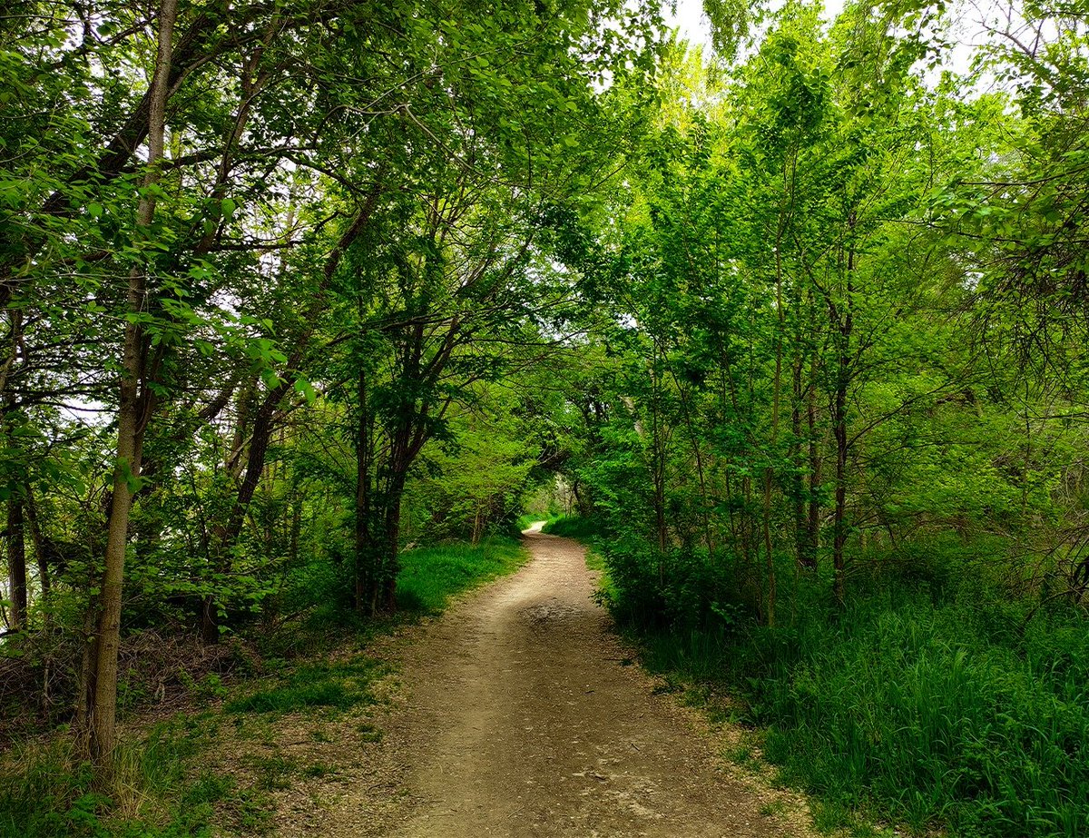 zaragozadeporte's tweet photo. ☀️ Llega el buen tiempo y con él las ganas de salir a caminar y ponerse en forma. 

🏃‍♀️🚴‍♀️#ZaragozAnda te propone 22 rutas para realizar andando, corriendo o en bici en Zaragoza y su entorno cercano, que empiezan y terminan en paradas de transporte público: https://t.co/jj5pBxLfrn https://t.co/Oe72XJn4qe