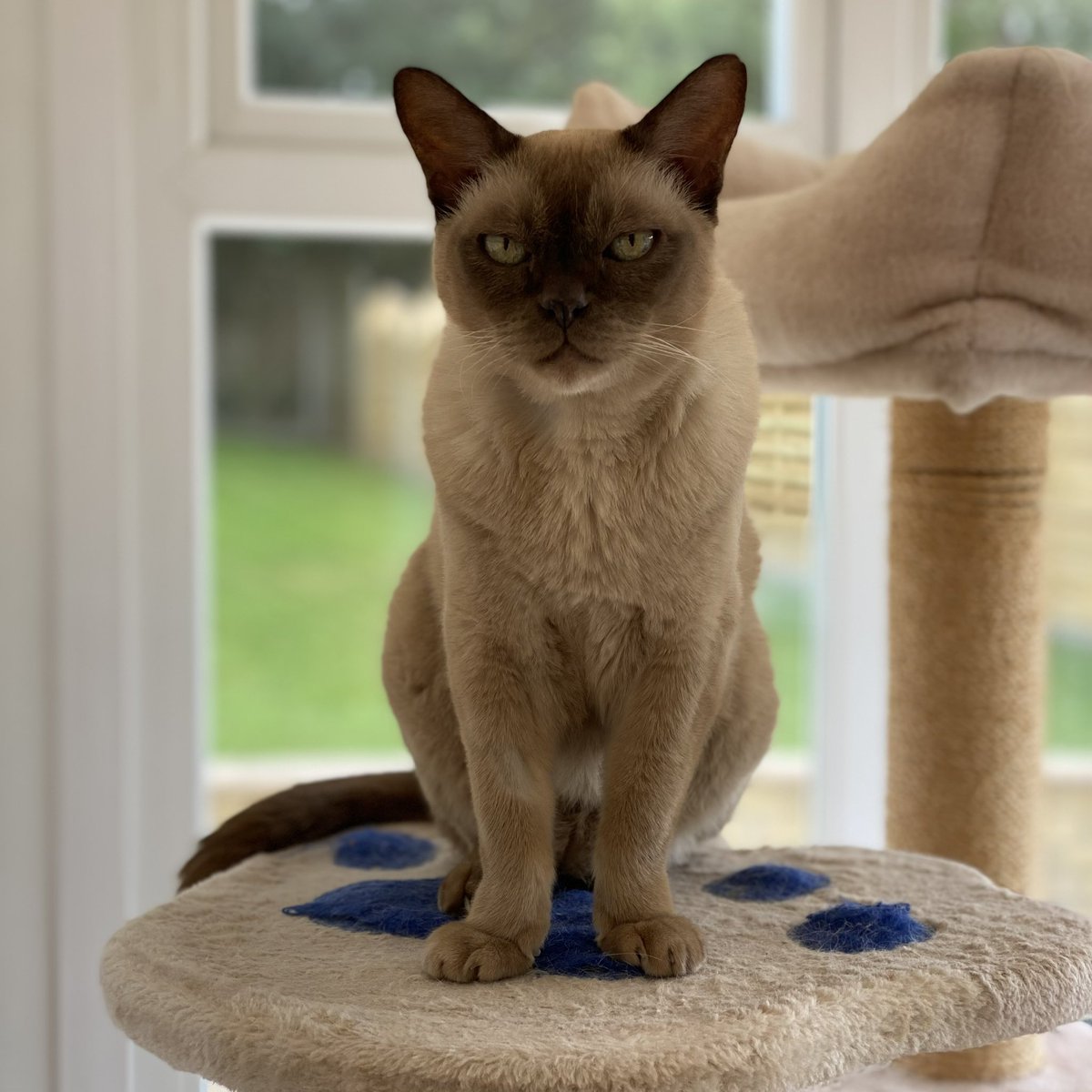 Natalie Tobitt tweet media