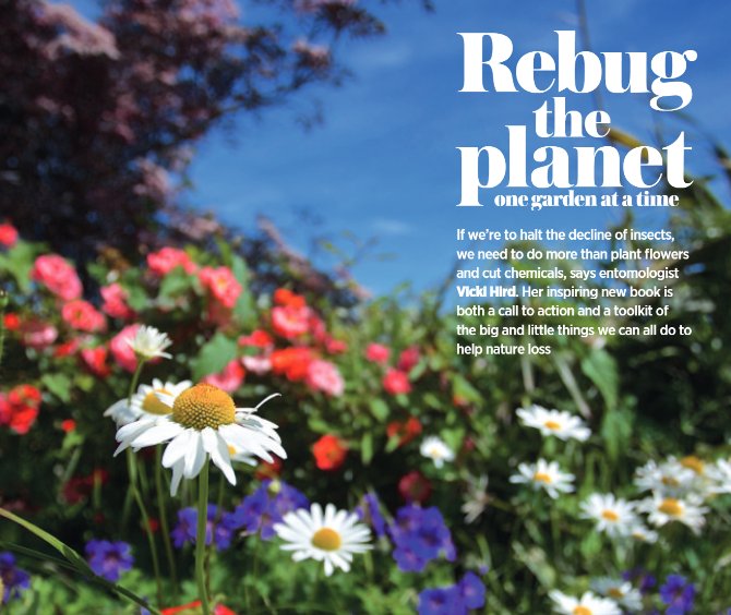 BQ_Mag's tweet photo. #Rebug the planet! One #garden at a time!
"If we're to halt the decline of #insects, we need to do more than plant #flowers and cut out chemicals" says #entomologist Vicki Hird
Find out more in issue 05 of BQ: Bees and Pollinators Quarterly.
@vickihird #Bees #Pollinators #BQ https://t.co/OHzBYhKlyU