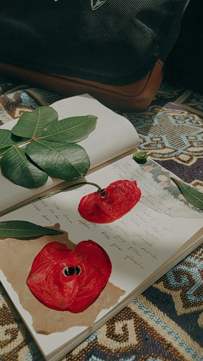 "Zindanların en darı ahlâkı ahlâkına uymayan insanlarla bir arada yaşamaktır."

Hz.Ömer