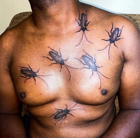 Kino ki?
(📸:<a href="/MBU/">MBU</a> )