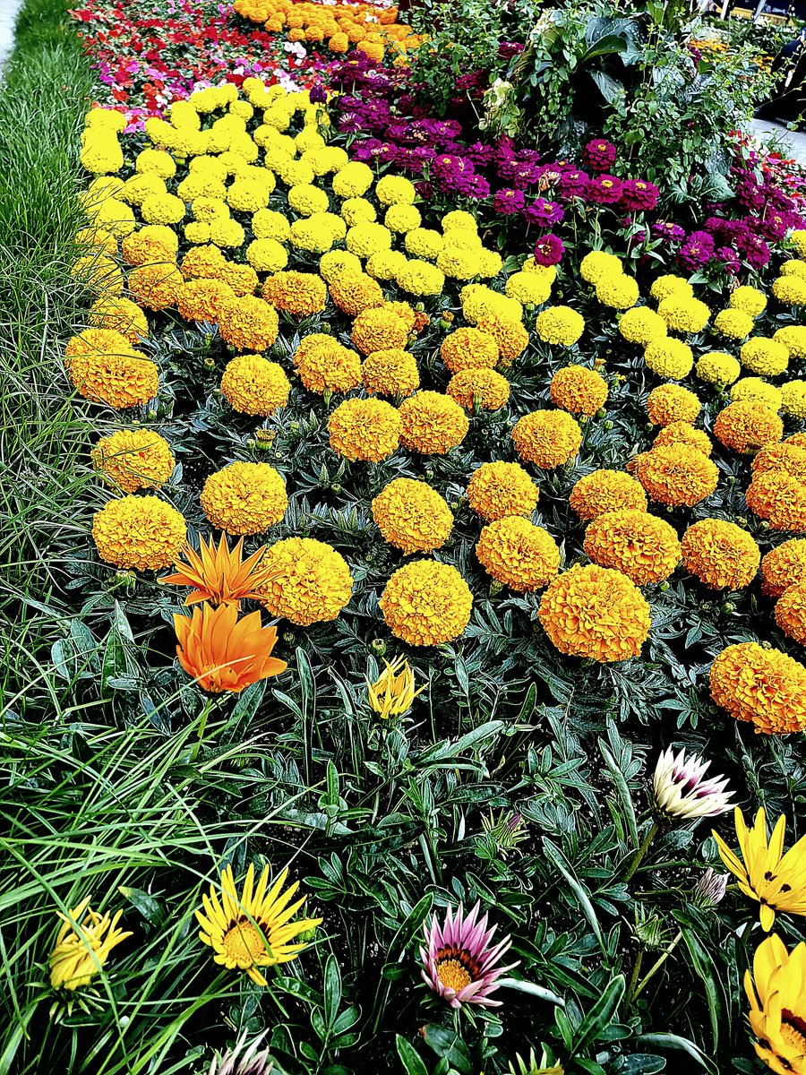 JinSeop Kim(辰燮 金) (@kimjinnam4) on Twitter photo 