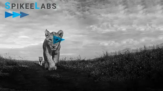 SpikeeLabs tweet media