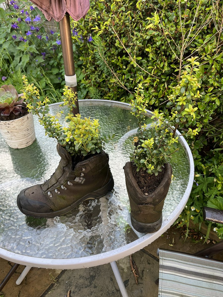 BEE_Adventures_'s tweet photo. Who else struggles to throw away old boots 🫣😂🥾 https://t.co/4MRc0snWa2