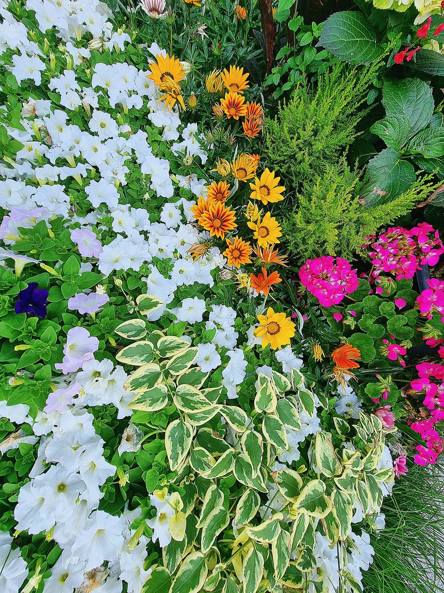 JinSeop Kim(辰燮 金) (@kimjinnam4) on Twitter photo 