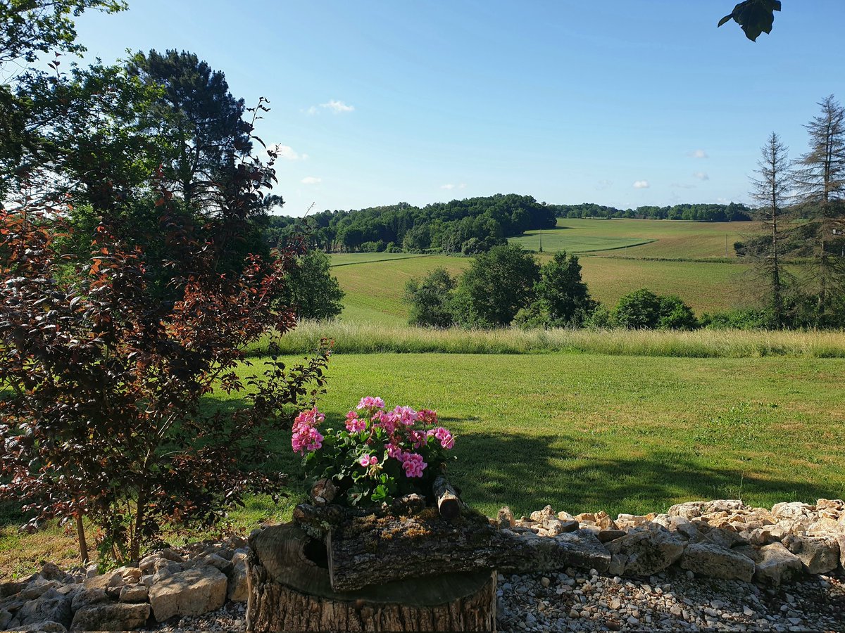 No stream from me this week as I'm currently relaxing (read: drinking vin) in the French countryside. See you all next week!