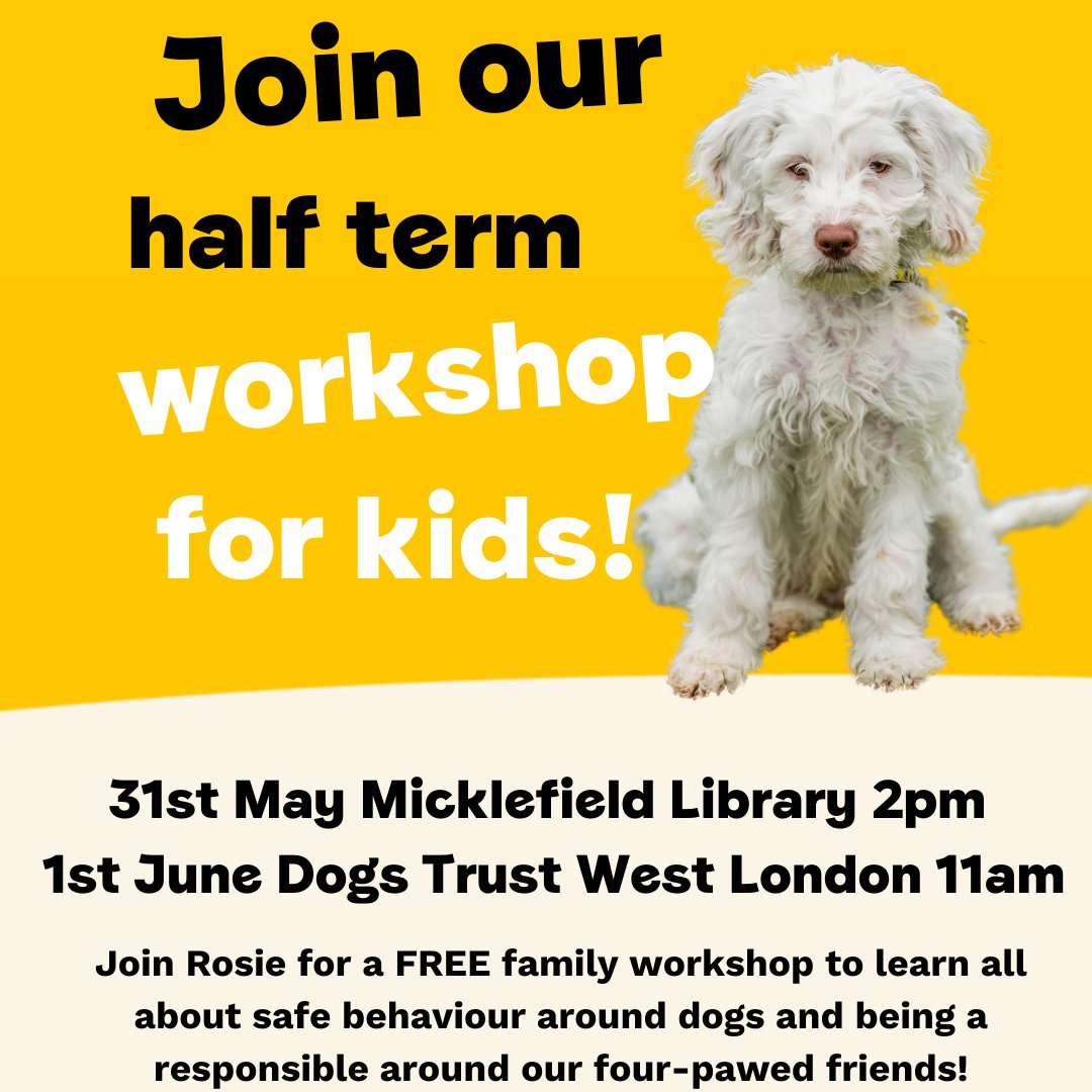 DT_WestLondon's tweet photo. DOG SAFETY WORKSHOP- this May half term! 💛
Children aged 7 and up are welcome with their grown up.
Places must be booked in advance.
Email Rosie.Allen@dogsrust.org.uk for more information
#Dogsafety #dogworkshop #mayhalfterm #kidsactivities #workshopforkids #dogstrust https://t.co/5wqav77Ibq