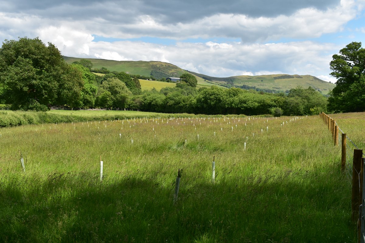 9treesUK's tweet photo. 9Trees is a not-for-profit organisation. Income is reinvested into training, education, and management of the woodlands. 'a great place to learn about trees, ecology and protecting' #environment #ESG #CSR #ClimateChange #TeamBuilding #SomethingDifferent #VennDiagram #9TreesUK https://t.co/YppBOi2LmH