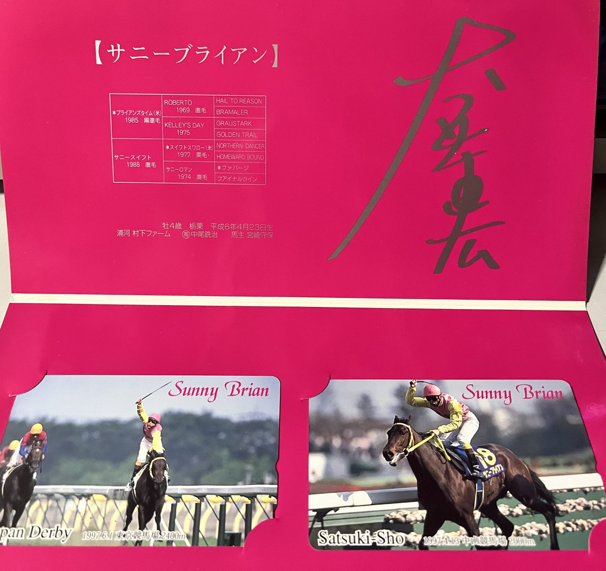 ジッポー・サニーブライアン - 通販 - cabinetwera.be