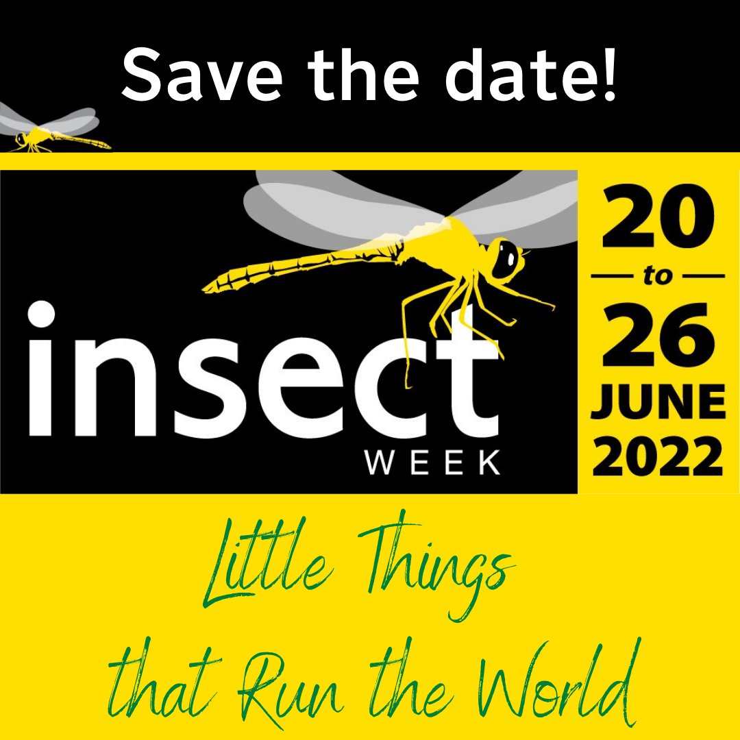 <a href="/insectweek/">Insect Week</a>'s back for its annual celebration of all things #insect &amp; #LittleThingsThatRunTheWorld🐞

What will you #Discover?

insectweek.co.uk

#Entomology #Science #BBCEarth #Education #InsectPhotography
#RESfuture #InnovatingWithInsects #EnrichTheWorldWithInsectScience