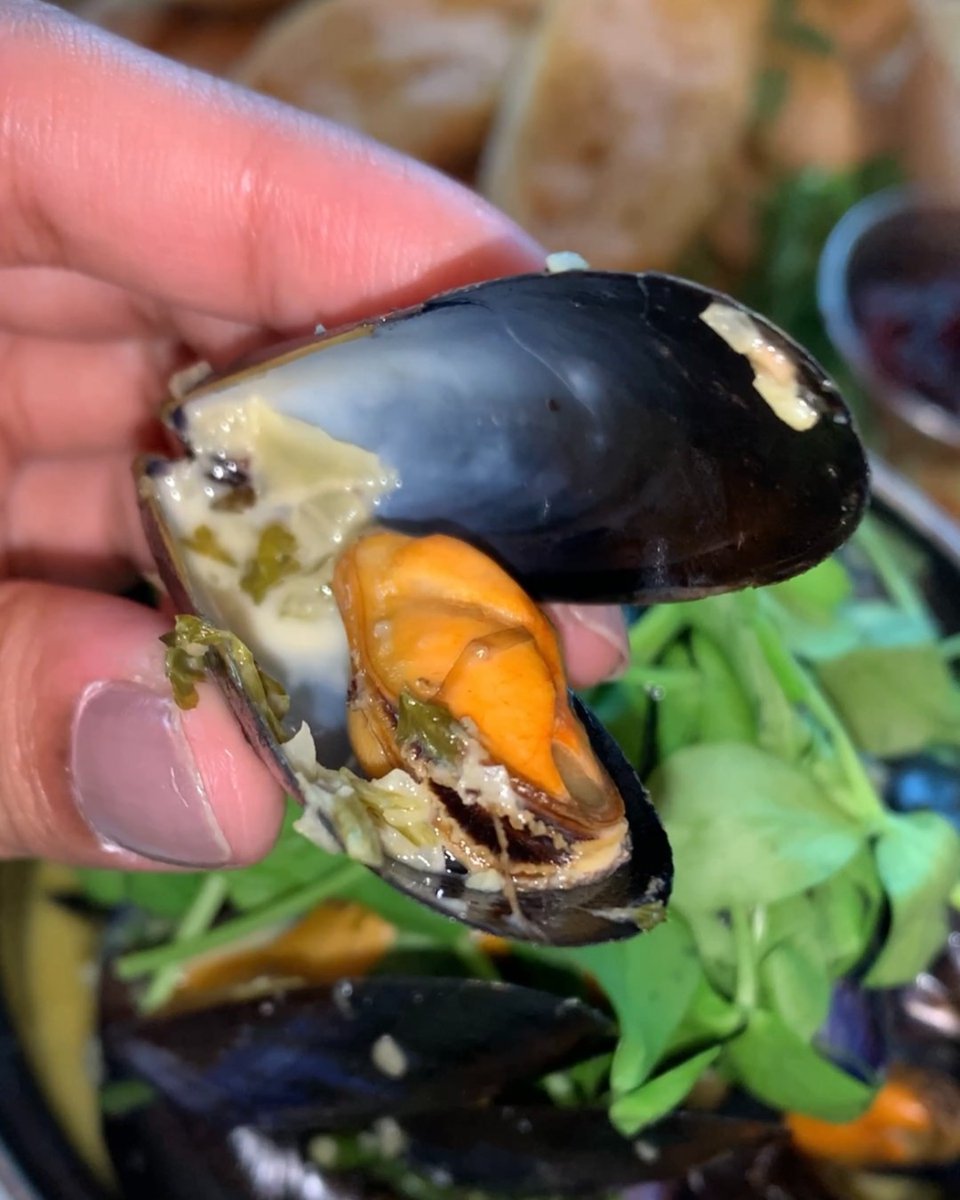 Have you retired our mussels yet? Always fresh, always high-quality and always delicious 🤤 Photo credit: @the.foodie.analyst