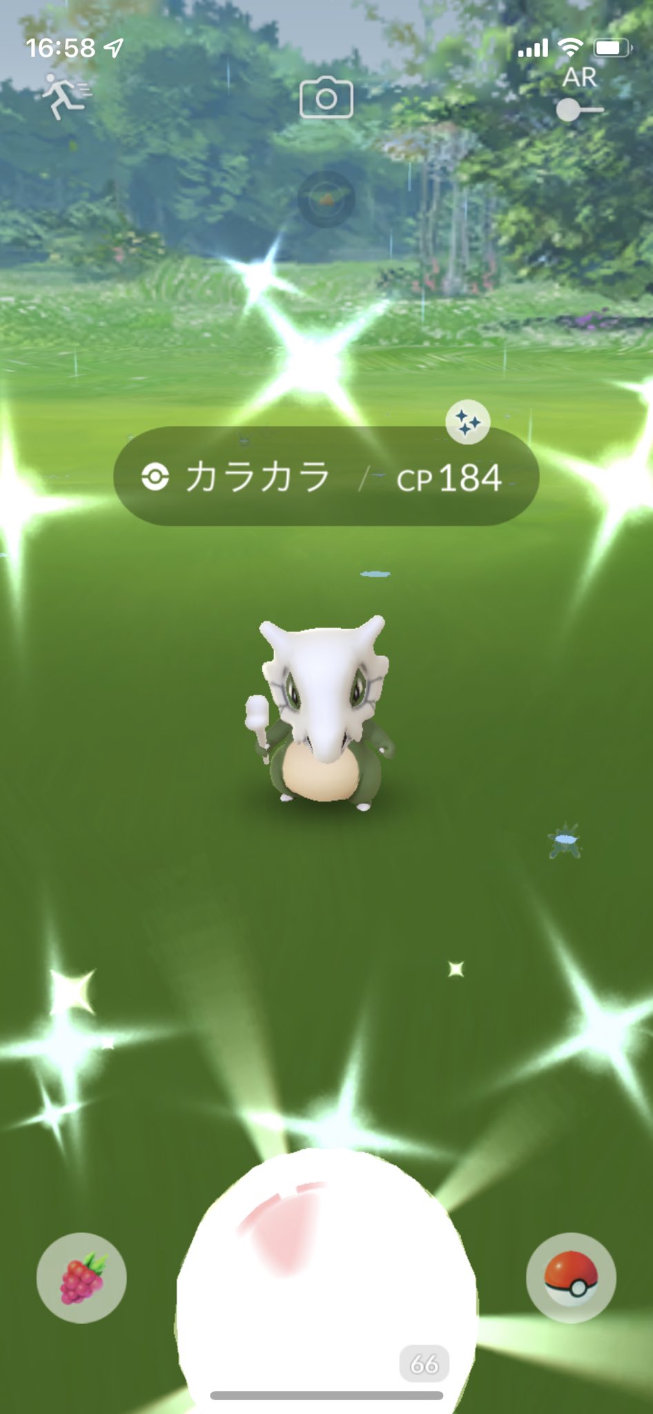 Tosimurin 自宅にカラカラ色違い イベント中 確定で色違いアローラガラガラへ進化www カラカラ色違い アローラガラガラ色違いと一石二鳥な日でした ポケモンgo カラカラ色違い アローラガラガラ色違い 一石二鳥 確定色違い進化 カラカラ