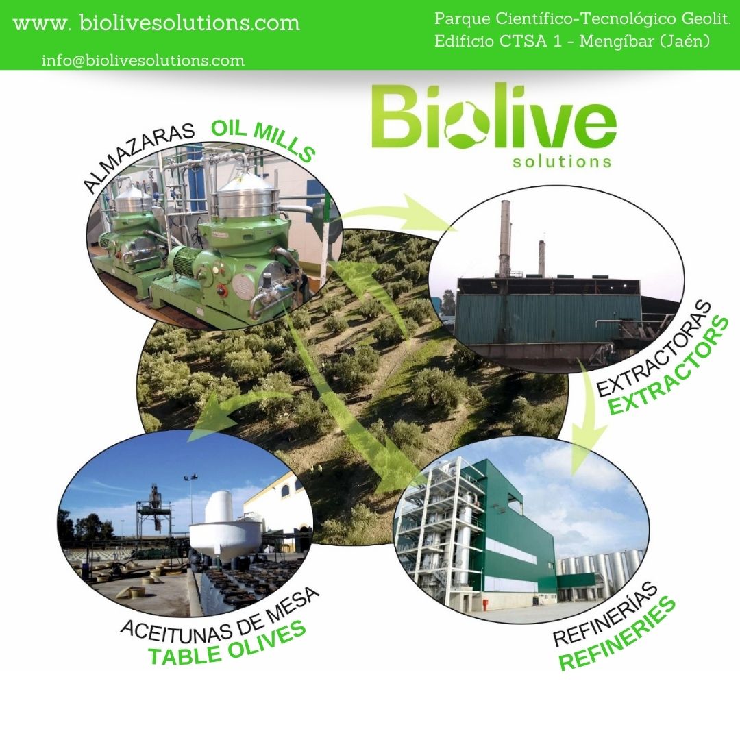 biolivesolution's tweet photo. 'BiOlive Solutions' es una Empresa Basada en el Conocimiento (EBC) creada por investigadores de @ujaen  convencidos de aplicar su bagaje científico en el subsector oleícola. @OTRIUJA 
'BiOlive Solutions' ofrece una amplia gama de servicios:
 #BiOliveSolutions #olive #oil https://t.co/cCnEFGnQyo