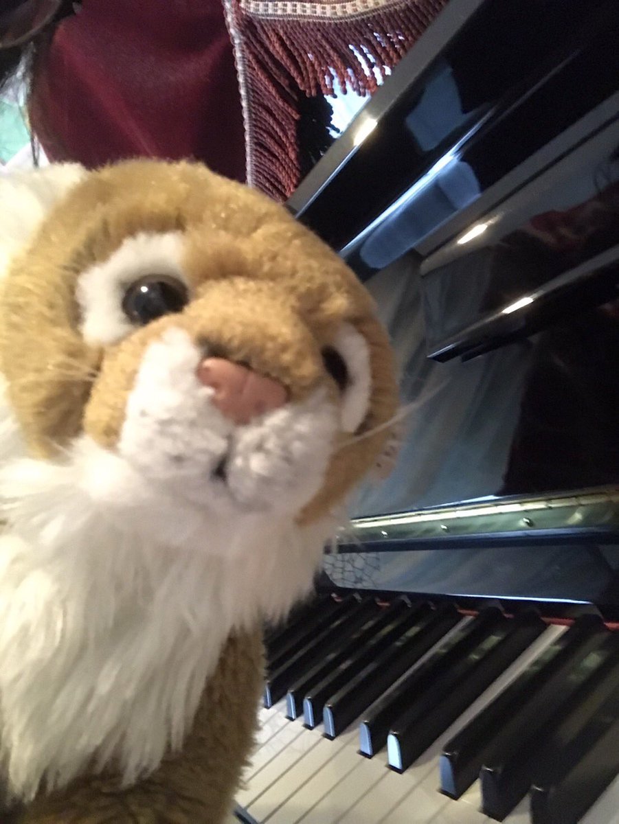 Melanie 🐯 tweet media