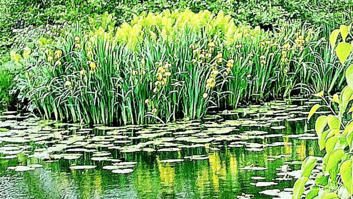 DBoermeester's tweet photo. Genieten van de natuur. Mooi. #natuur #genieten #enjoy #nature #eemnes https://t.co/qk0Zsk4fje