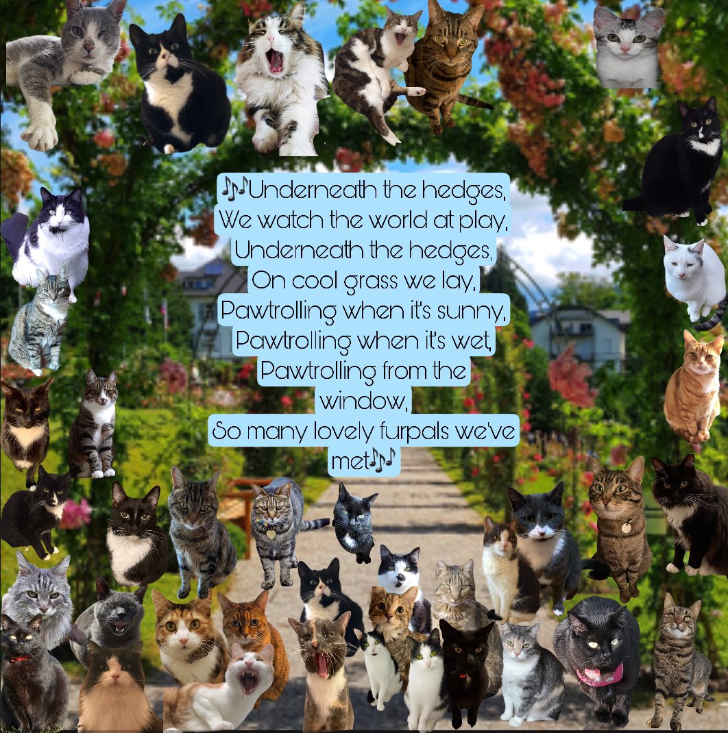 BungandZip's tweet image. Happy Birthday HQ 😸🐾😸🐾❤️❤️

Tucked in the woods,
Is a place of fun and delight,
Whether early in the morning or late at night,
There’s always something magical for me and you,
In that amazing place, the #Hedgewatch HQ !

#congratulationshq #sniffinislivin #hedgewatchchoir