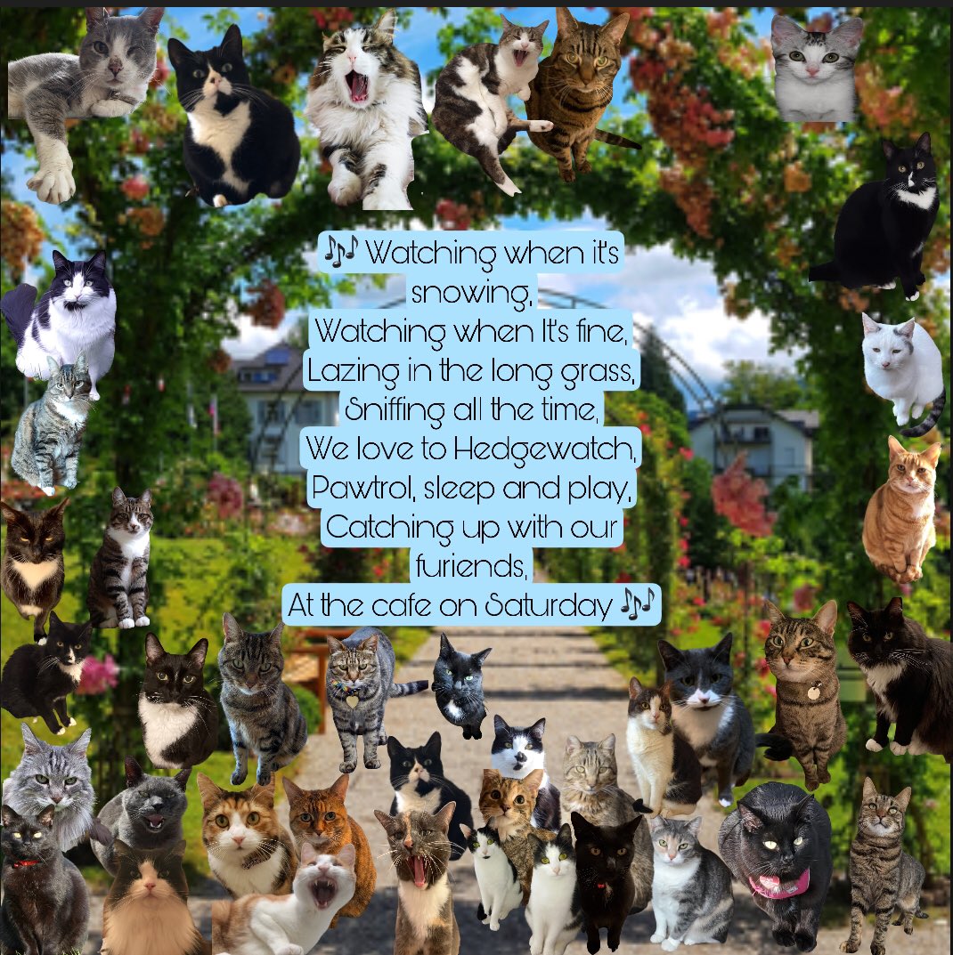 BungandZip's tweet image. Happy Birthday HQ 😸🐾😸🐾❤️❤️

Tucked in the woods,
Is a place of fun and delight,
Whether early in the morning or late at night,
There’s always something magical for me and you,
In that amazing place, the #Hedgewatch HQ !

#congratulationshq #sniffinislivin #hedgewatchchoir