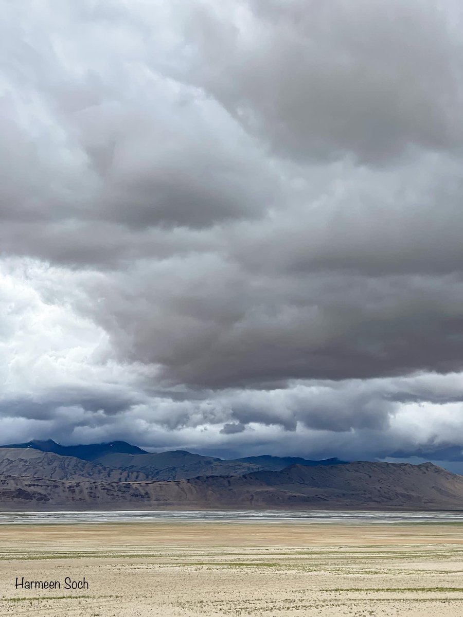 HarmeenSoch's tweet photo. Complete wilderness at Tso Kar, a lesser explored lake in Ladakh. Flocked by migratory birds aplenty and frequented by birders in search of them! This barrenness was therapeutic and unforgettable ✨
#TsoKar
#chanthang
#MysticLadakh https://t.co/cUx6XwFwZP