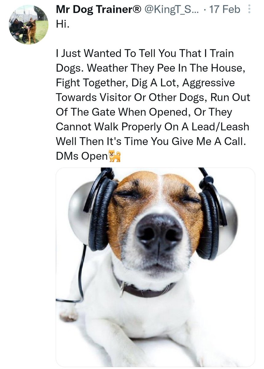 KingT_Sibeko's tweet photo. @mohale_motaung Yho 🤣🤣🤣🤣

I'm Just Here To Advertise Myself.

I Train Dogs For Any Behavioral Problems https://t.co/tXlMglGPHg