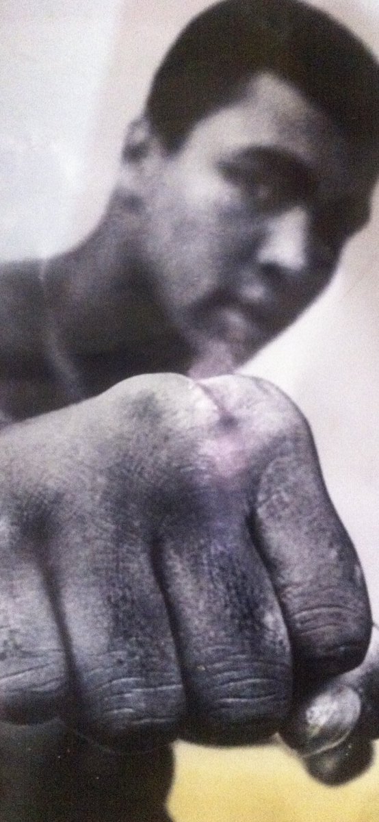 Vitorian.™ tweet media