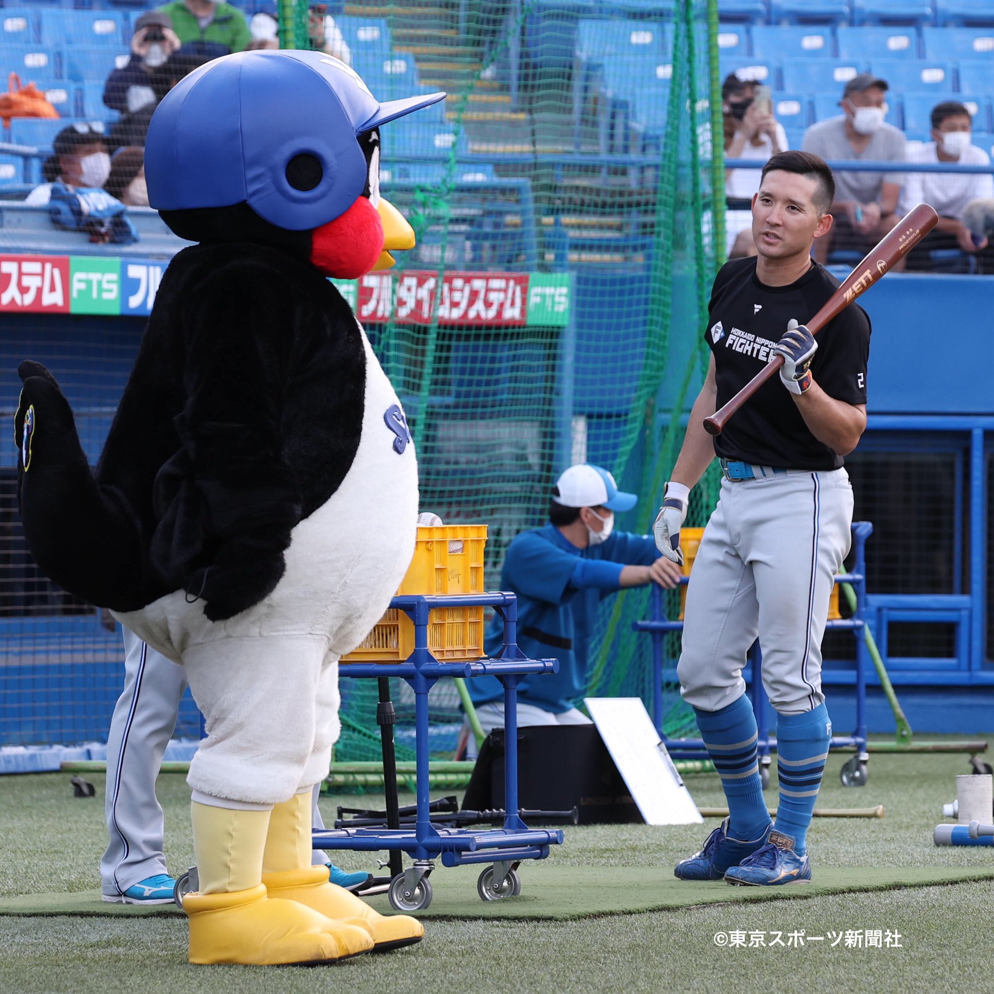 /野球拳の家元/創始者/前田伍健/野球拳/布袋屋掛軸HJ-448 掛け軸 前田伍健 『 野球拳 こうゆう ぐあいに 世を渡り 』 紙本
