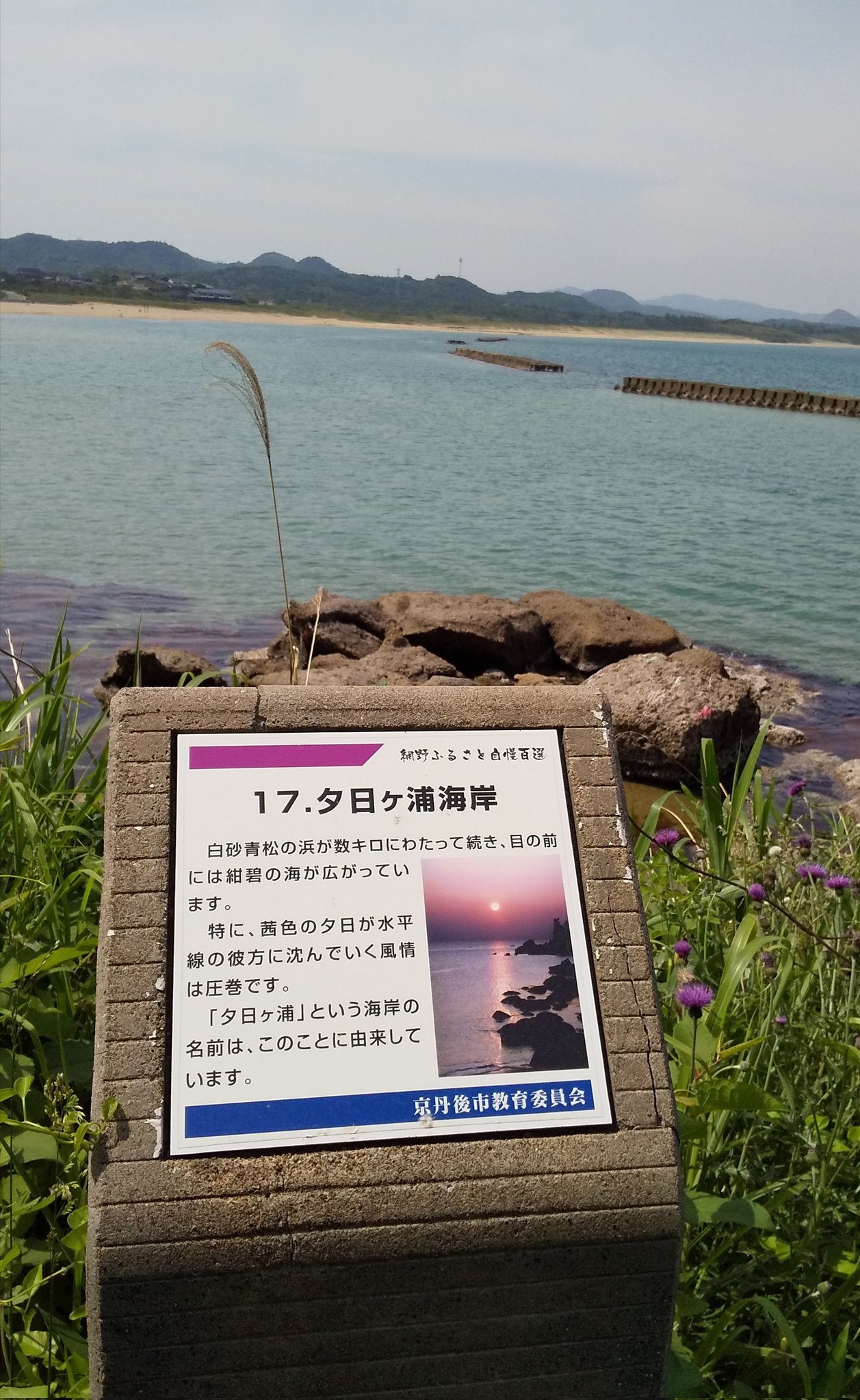 みどり文庫 Twitter પર 今日は田舎の海岸線 日本海 を散策しました 大きな岩は丹後大震災で山から落ちてきた岩です 海岸線には綺麗な砂浜が広がっています 海水も綺麗で遠浅の海水浴に適した海辺です 蛤や 砂浜を掘ると可愛い小蟹が出てきます T