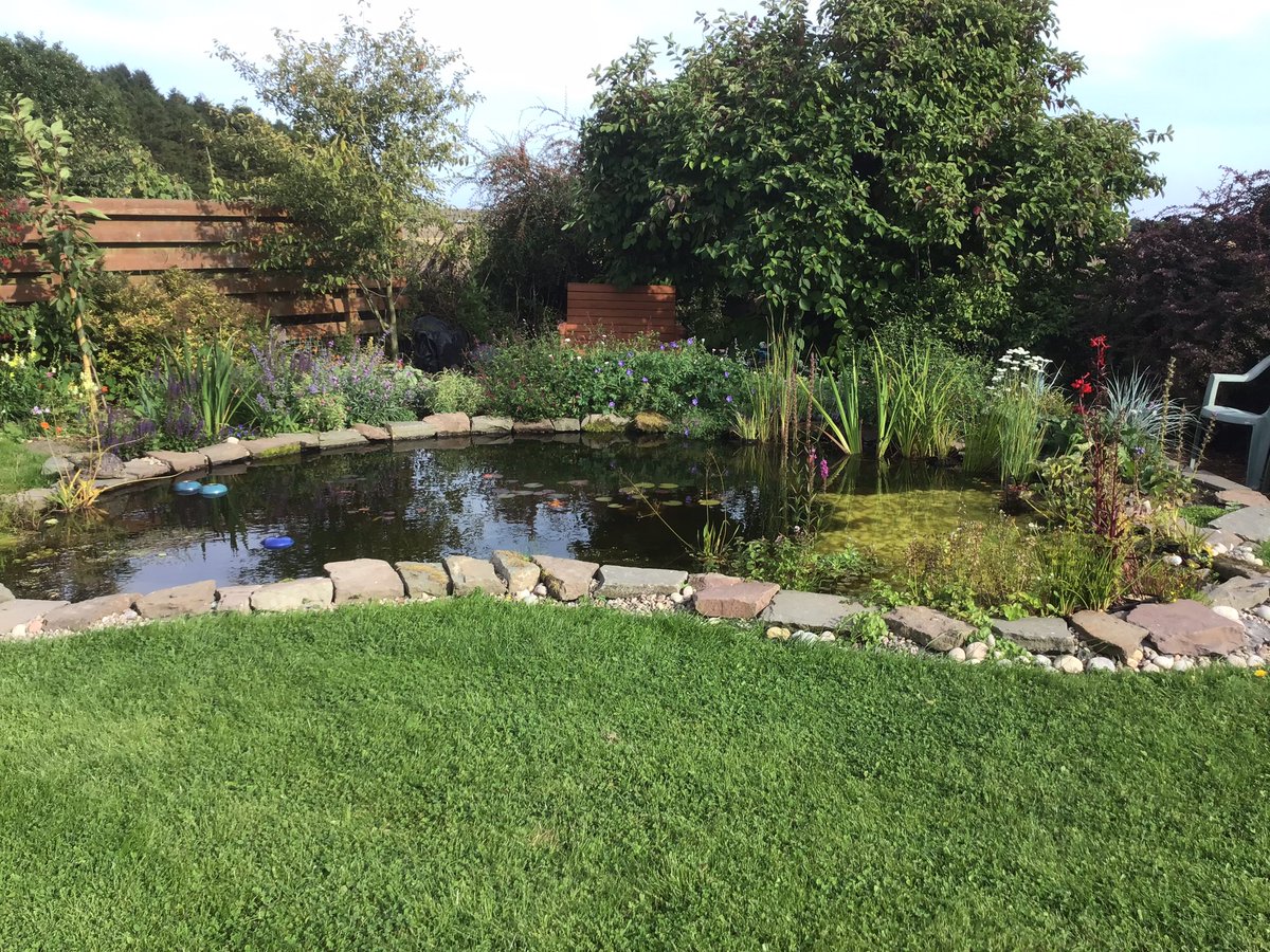 @MouseyRussell @ChrisGPackham Did this one last year. Loads of insects, 3 different types of dragonflies. Sadly no frogs as yet. Made a beach area for the birds to bathe. My favourite bit of the garden.