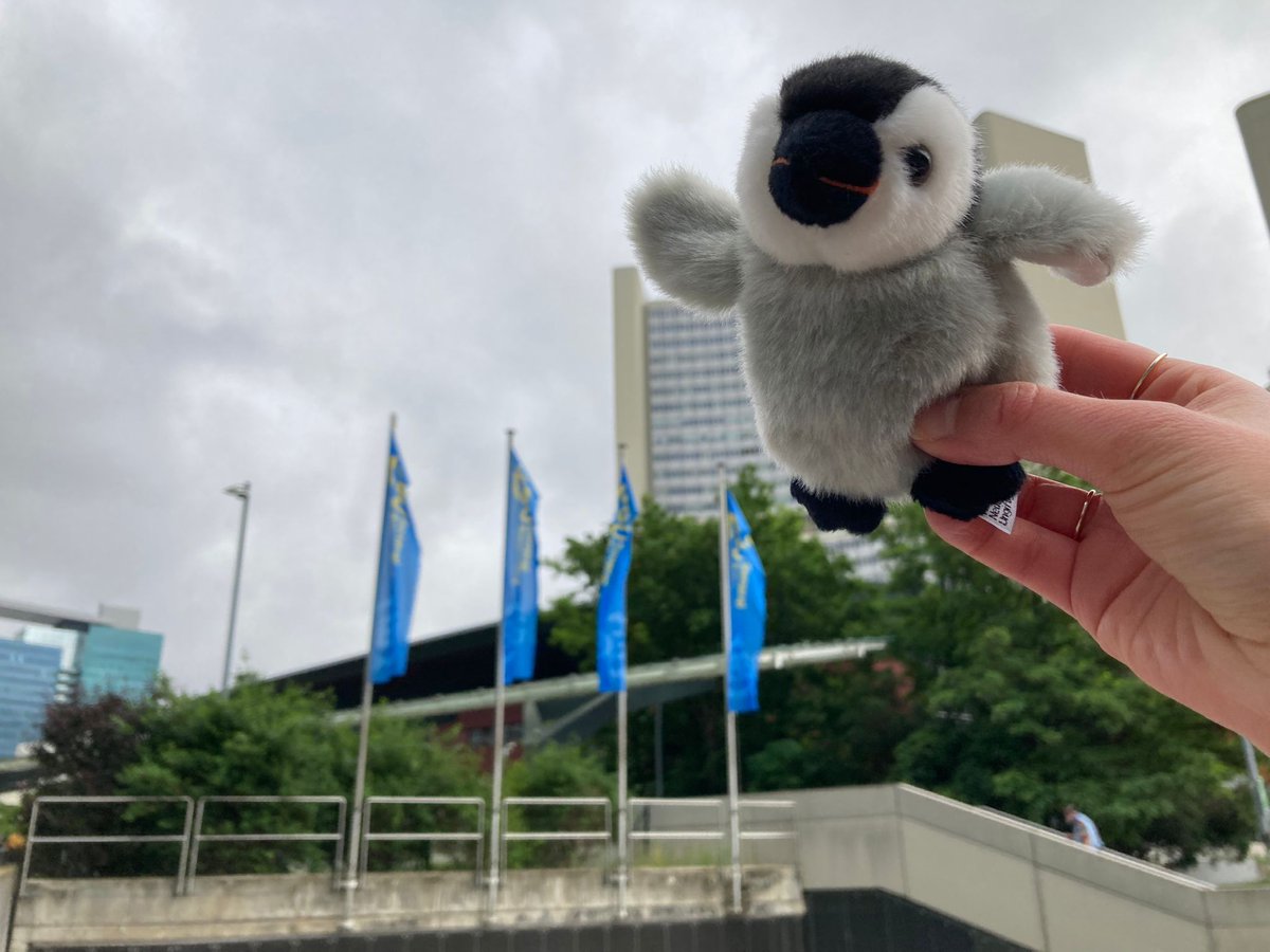 Flying high on the third day of #EGU22! Looking forward to #networking with other scientists from @EGU_BG today!