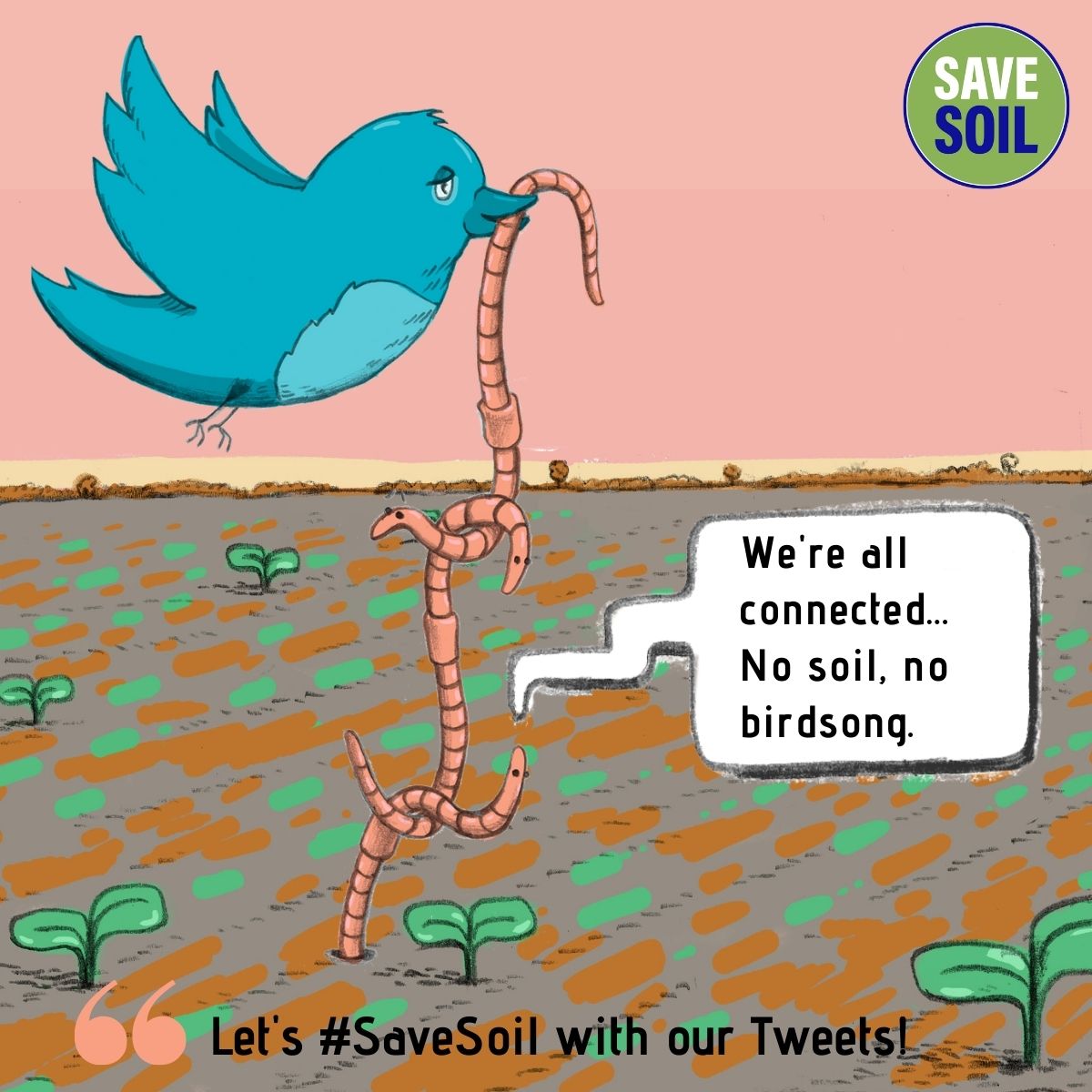 Conscious Planet #SaveSoil tweet media