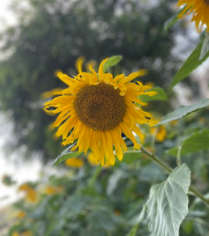 生活不止炒币，还有诗和远方，还有美食...✈️