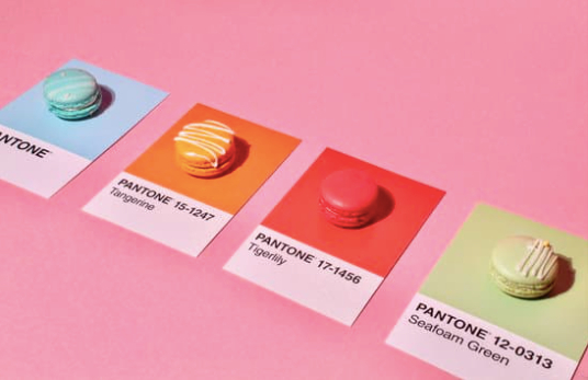GraphicsDirect's tweet photo. Choosing the right colour for your product or design is the most important descison you will make!  

Visit our Pantone Resources page, bringing you videos &amp; guides to help you with all your Pantone colour needs.

https://t.co/PPDJXYoDua https://t.co/kB7Ubfi459