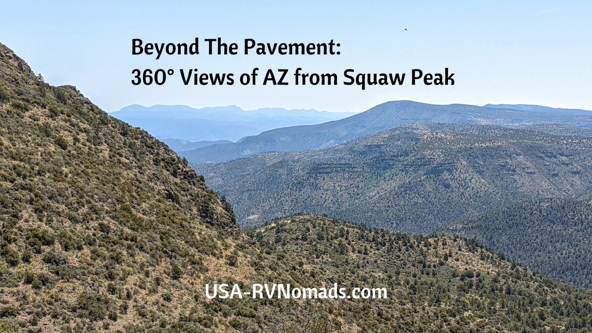 Shari Voigt tweet media