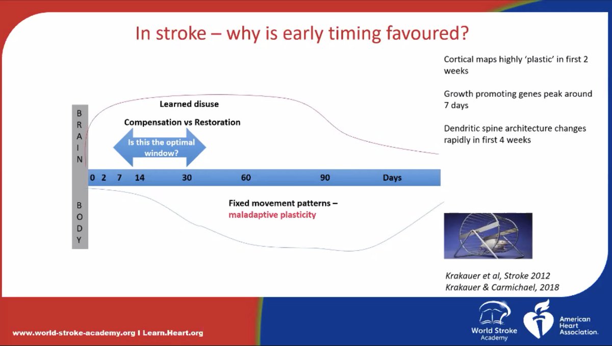 Anna Bonkhoff, MD tweet media