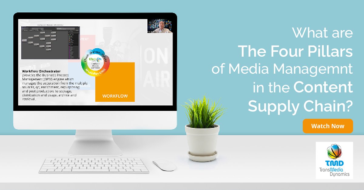 TransMedia Dynamics tweet media